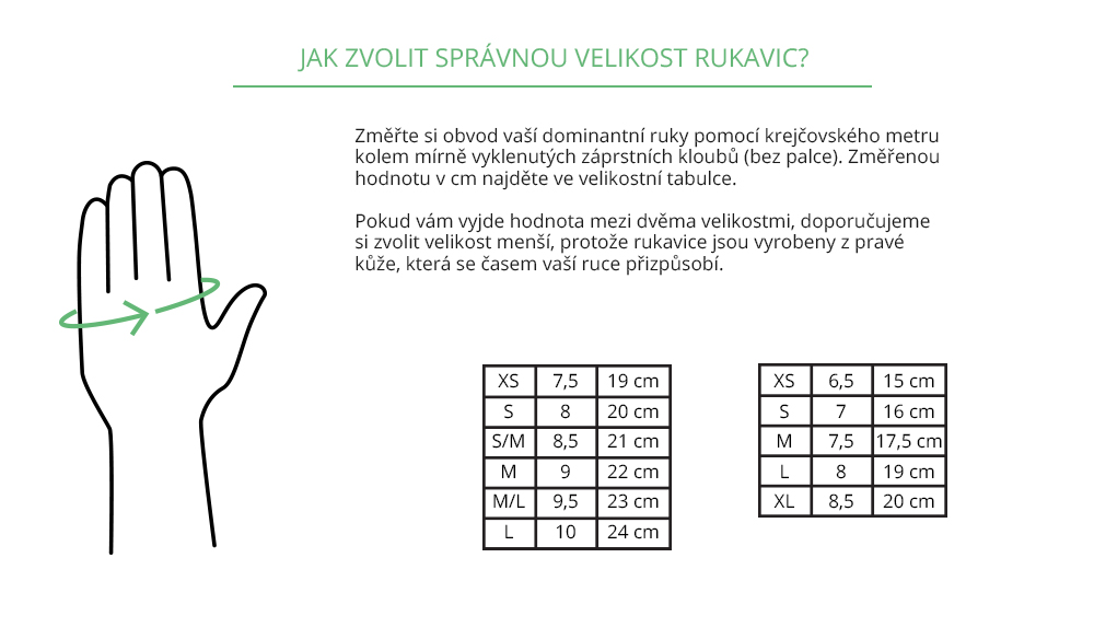 website_infographics_cz_1